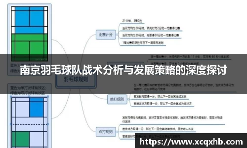 南京羽毛球队战术分析与发展策略的深度探讨